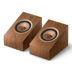 ウォールナット