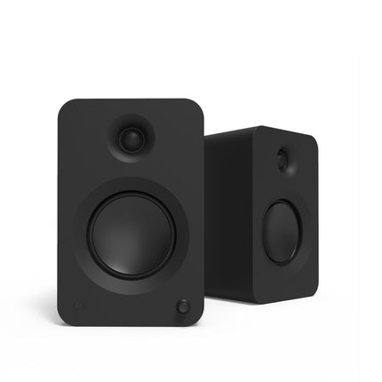 【試聴購入可能】REN Kanto Audio