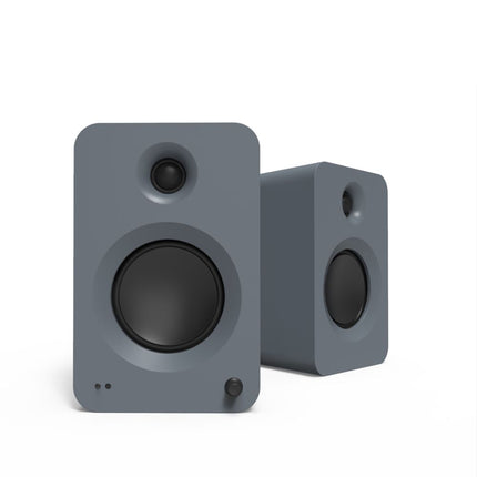 【試聴購入可能】REN Kanto Audio