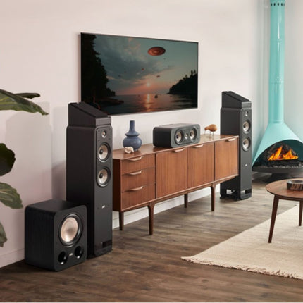 ES10 SUBWOOFER  Polk Audio