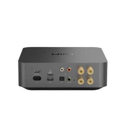 【試聴購入可能】WiiM Amp Pro WiiM